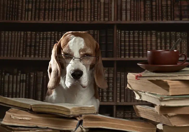 employer defense law firm