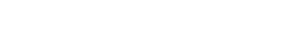employment lawyers in nyc